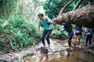 BIB: 
                            <button type="button" onclick="openModal(25375255)" class="btn btn-primary btn-sm float-right btn-popup" data-toggle="modal" data-target=".modal-high-quality">
                        <i class="fas fa-shopping-cart"></i> Add to Cart
                    </button>
                                            <button type="button" onclick="isThisMe(25375255, true)" class="btn btn-success btn-sm float-right btn-popup btn-isme hidden" data-toggle="tooltip" data-placement="bottom" title="นี่คือรูปของคุณใช่ไหม คลิกที่นี่เพื่อเอาเข้าอัลบั้ม">
                        <i class="fas fa-plus"></i> Add to album
                    </button>
                    <button type="button" onclick="isThisMe(25375255, false)" class="btn btn-warning btn-sm float-right btn-popup btn-isnotme hidden">
                        <i class="fas fa-ban"></i> Remove from album
                    </button>